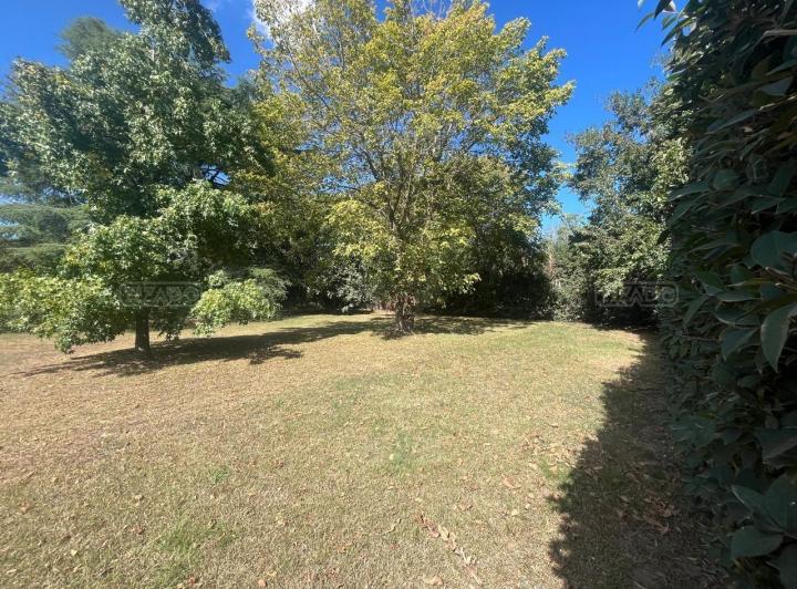 Terreno · 1000m²