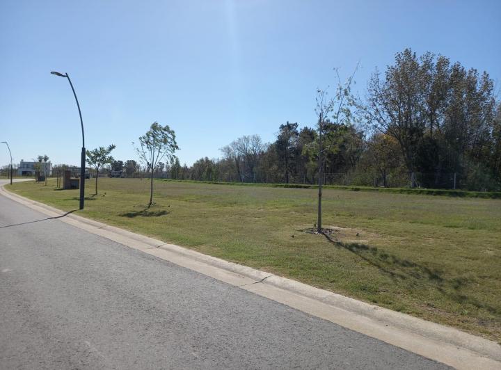 Terreno · 1240m²