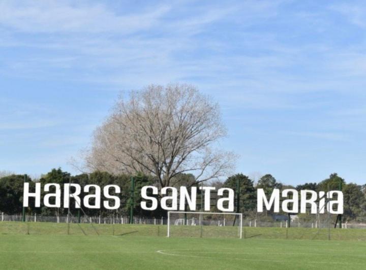 Terreno · 1126m²