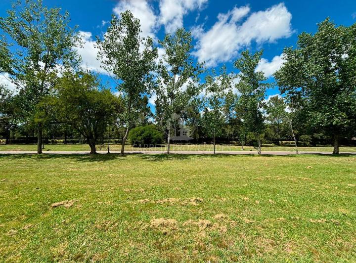 Terreno · 877m²