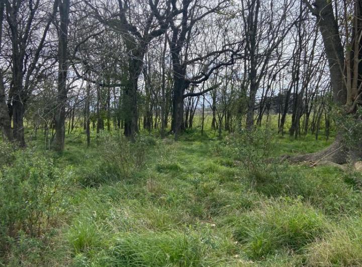 Terreno · 1600m²