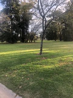 Terreno · 1591m²