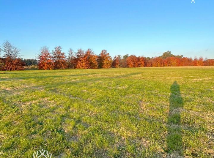 Terreno · 1600m²