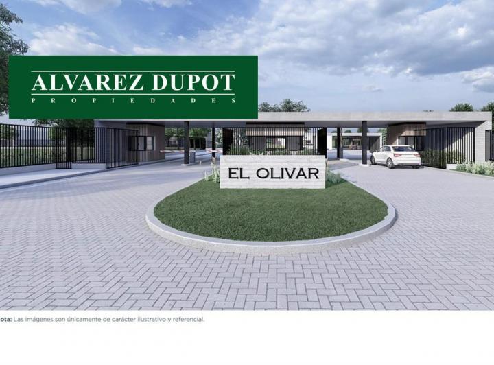 Terreno · 433m²