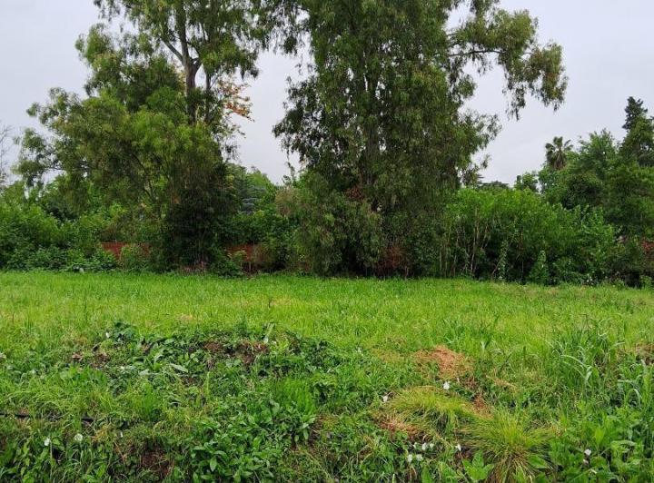 Terreno · 300m²