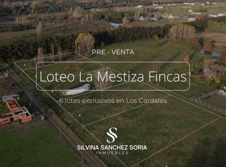 Terreno · 2000m²