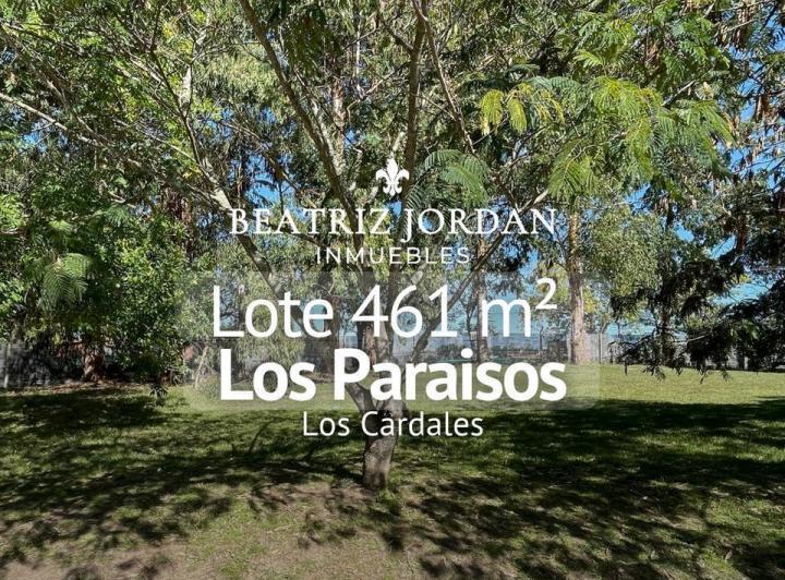Terreno · 462m²