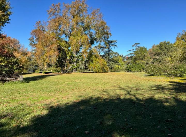 Terreno · 3000m²