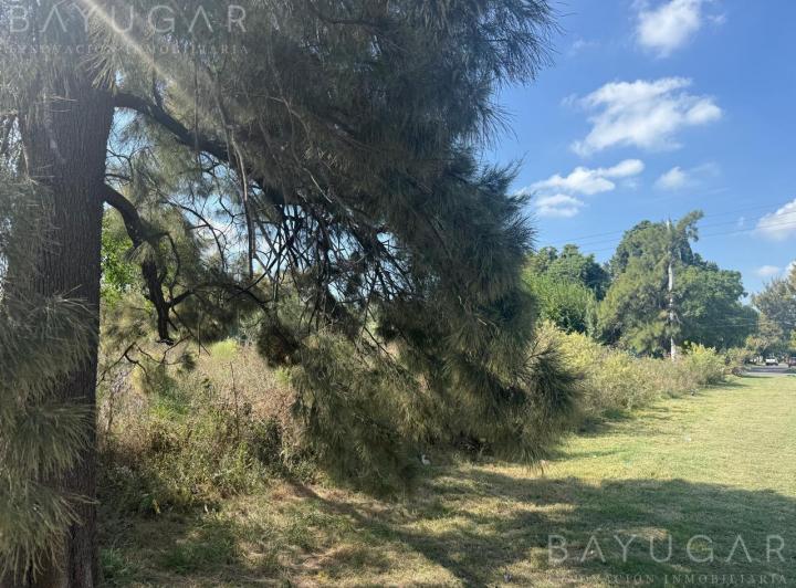 Terreno · 24300m²