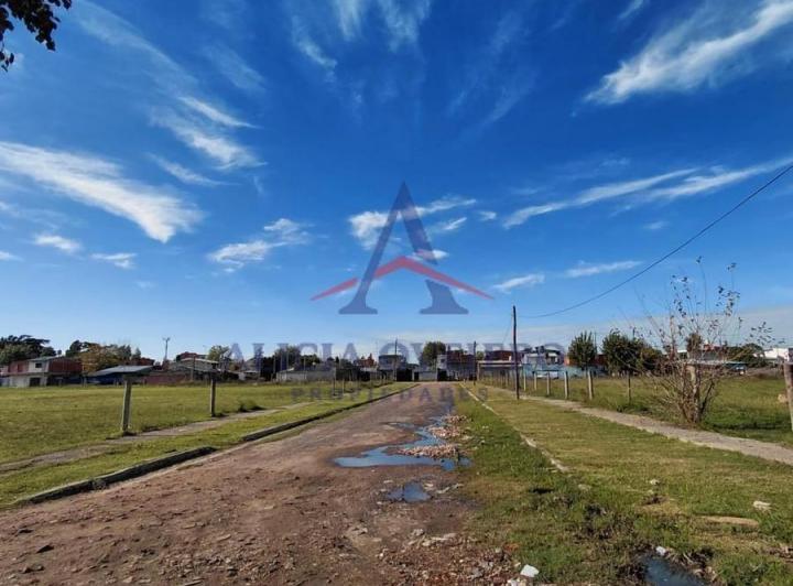 Terreno · 22000m²