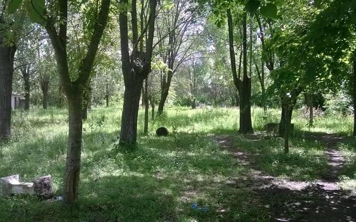 Terreno · 11242m²