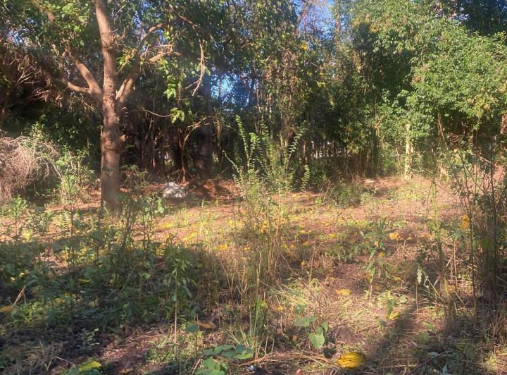 Terreno · 378m²