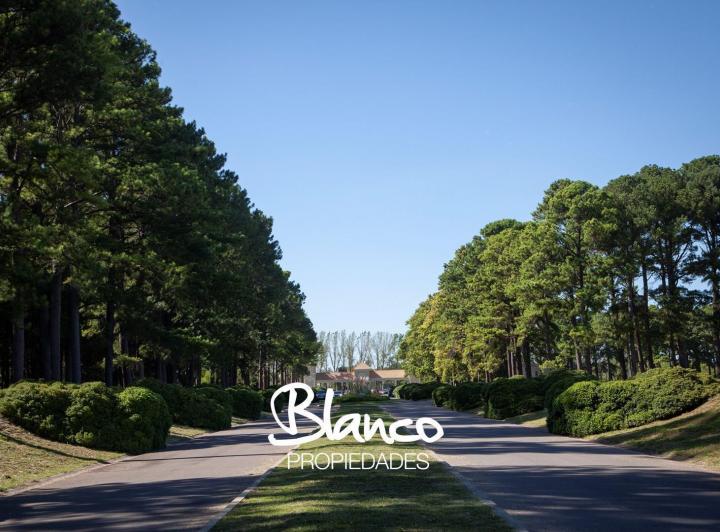 Terreno · 1509m²