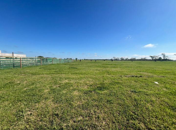 Terreno · 650m²