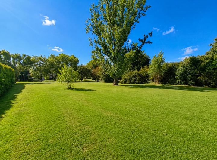 Terreno · 2930m²