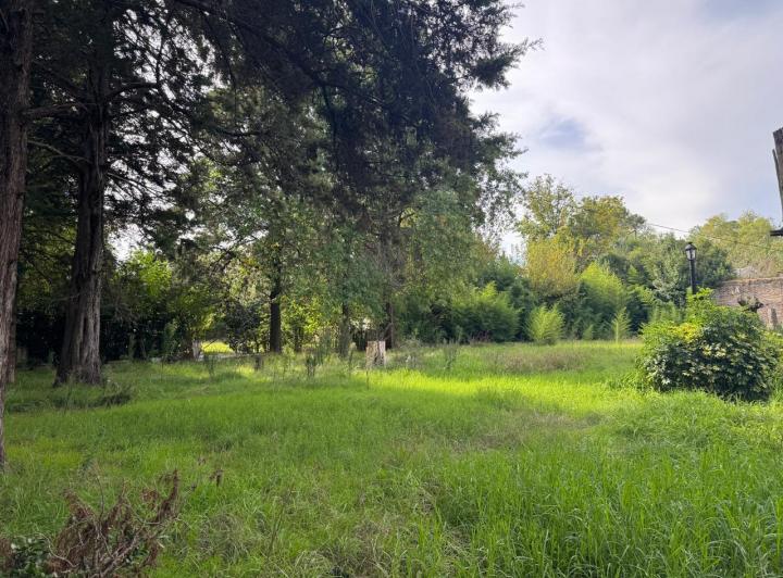Terreno · 1597m²