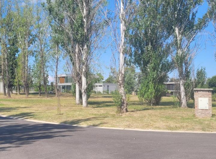 Terreno · 1200m²