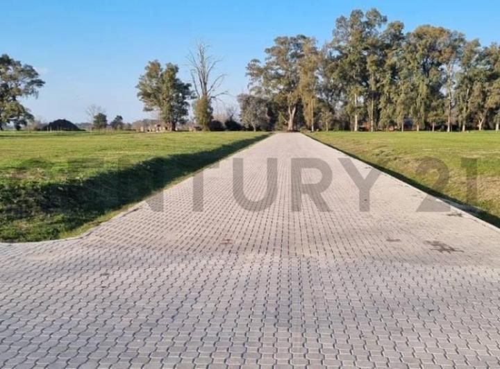 Terreno · 1000m²