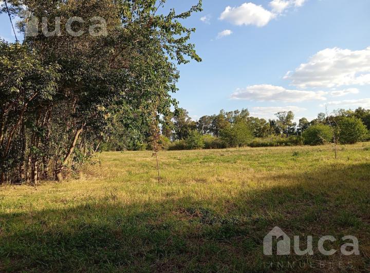Terreno · 875m²