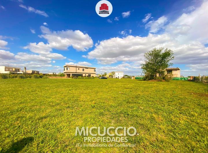 Terreno · 1196m²