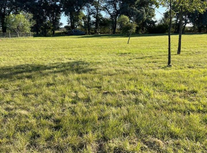 Terreno · 1233m²