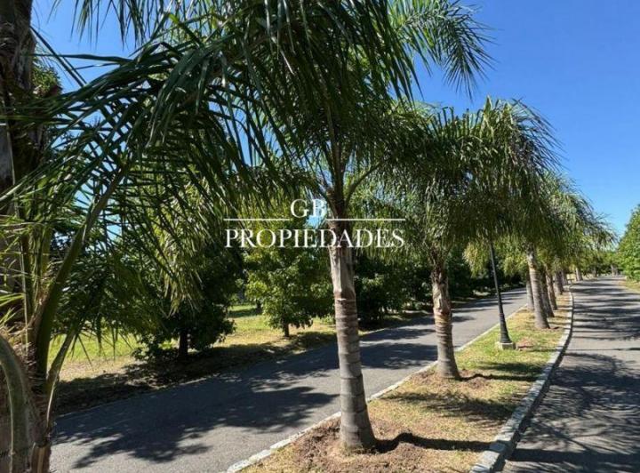 Terreno · 800m²