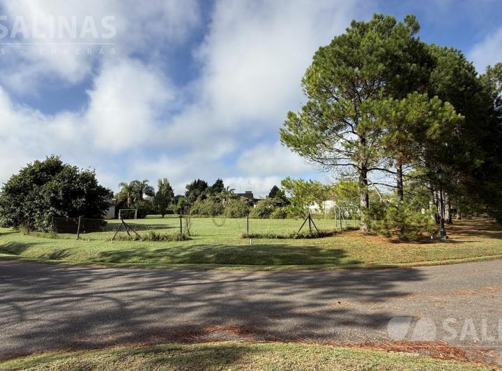 Terreno · 1672m²