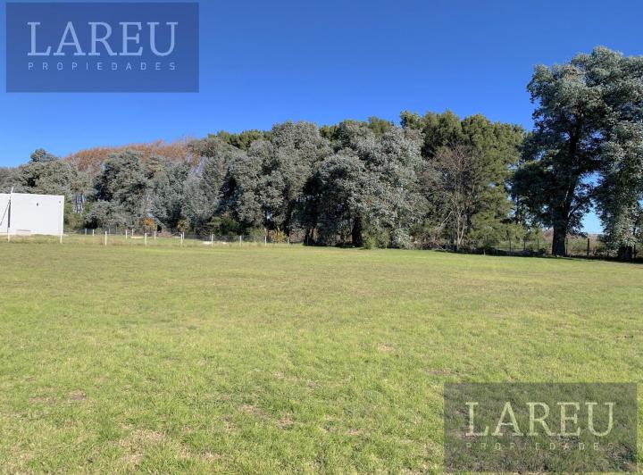 Terreno · 1263m²