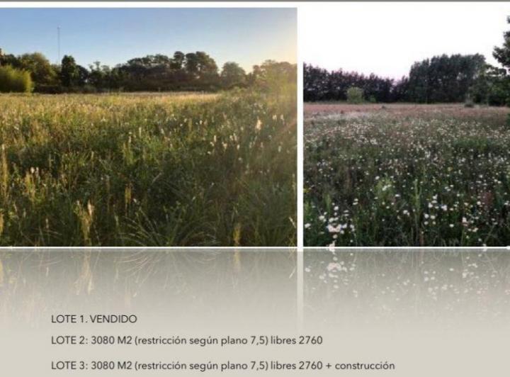 Terreno · 2000m²