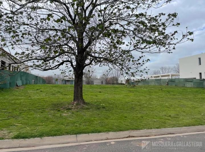 Terreno · 1482m²