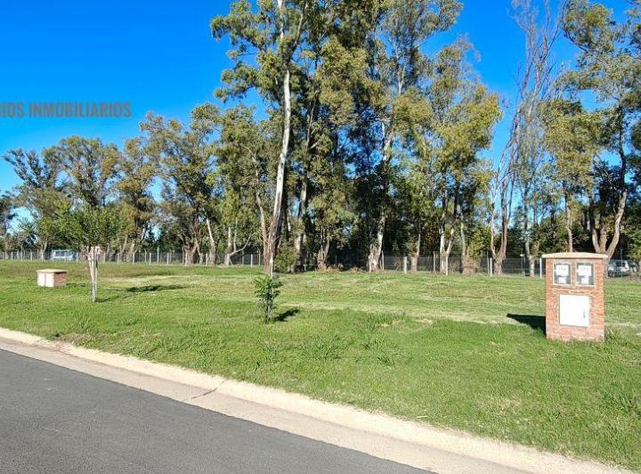 Terreno · 526m²
