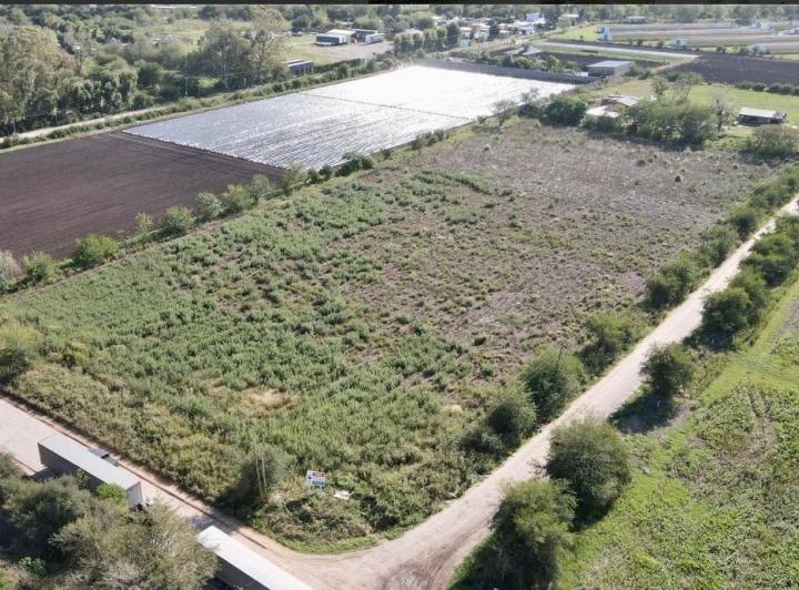 Terreno · 17200m²
