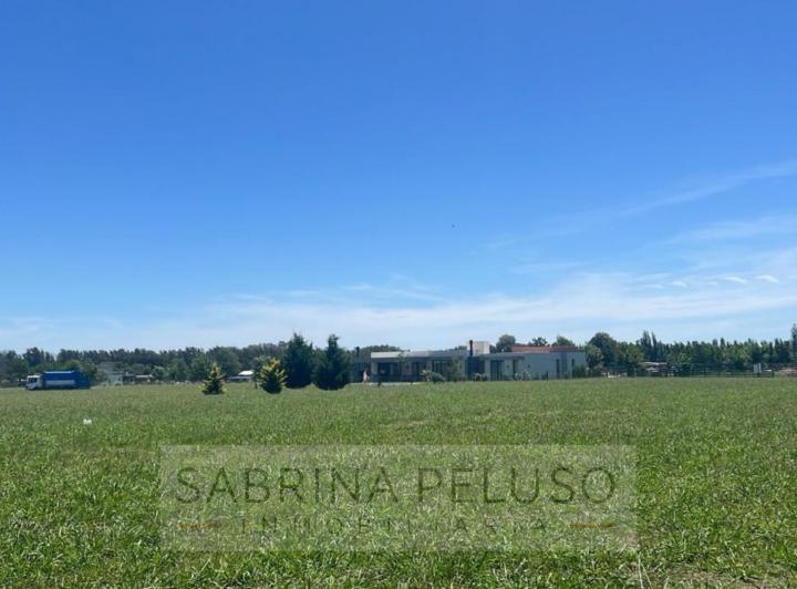 Terreno · 1074m²