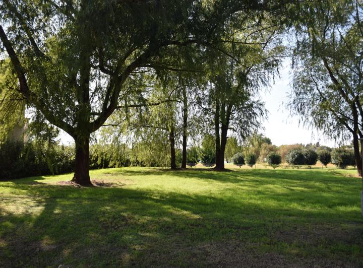 Terreno · 790m²