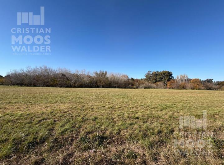 Terreno · 1600m²
