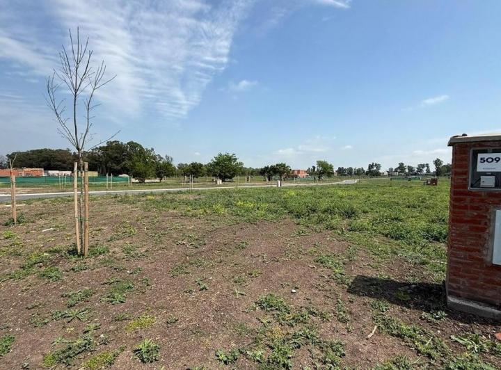 Terreno · 483m²