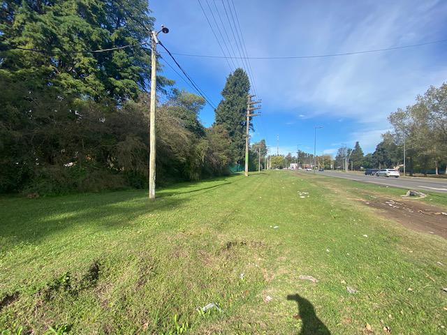 Terreno · 80m²