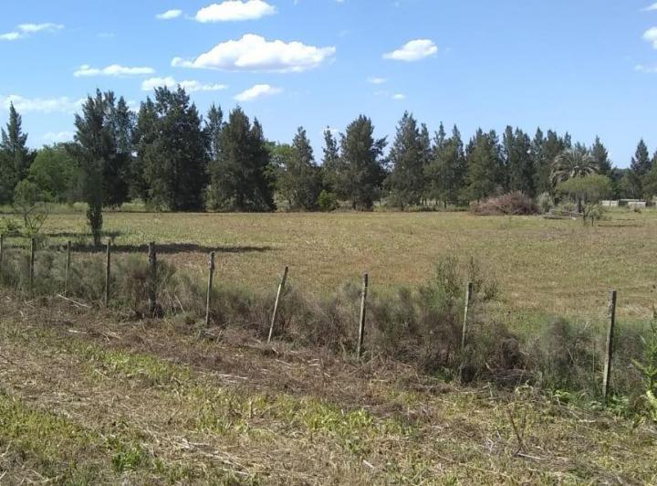 Terreno · 10000m²