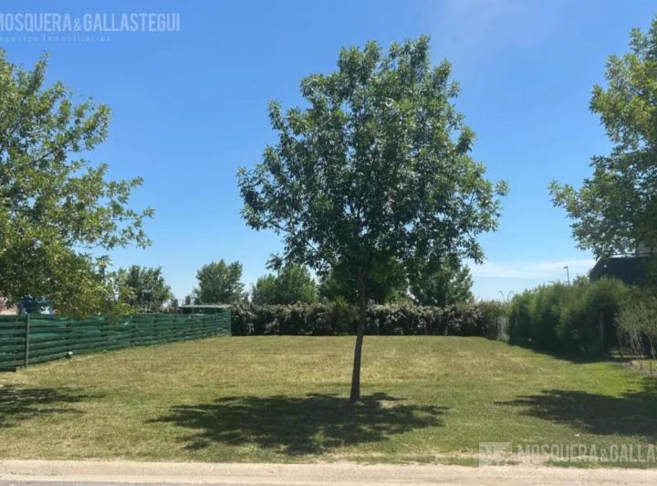 Terreno · 574m²