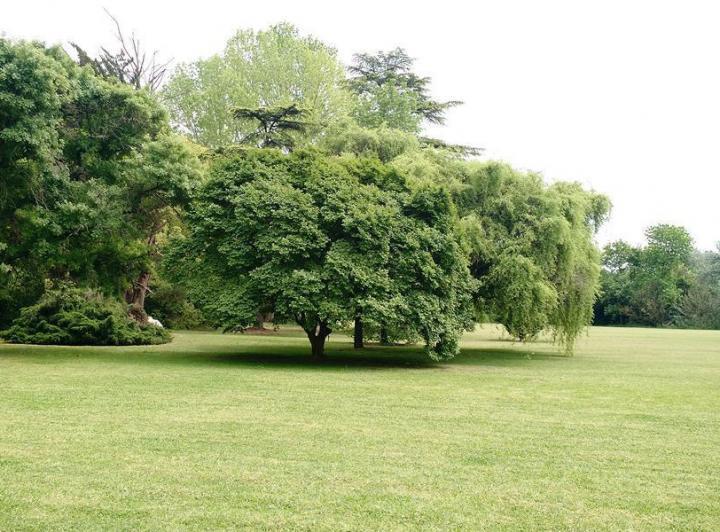 Terreno · 615m²