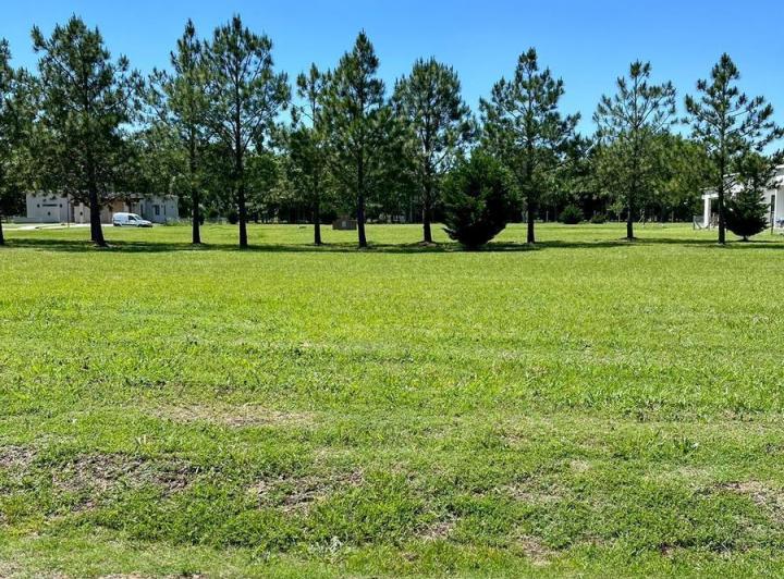 Terreno · 1006m²
