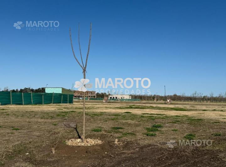 Terreno · 700m²