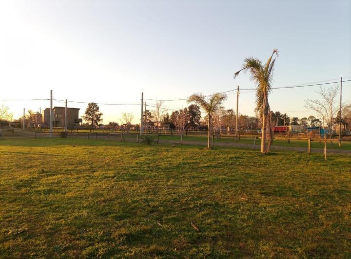 Terreno · 1000m²