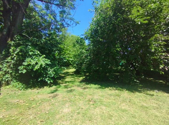 Terreno · 554m²