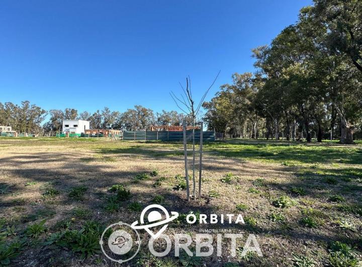 Terreno · 484m²