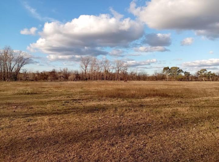 Terreno · 50000m²