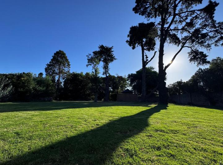 Terreno · 1146m²