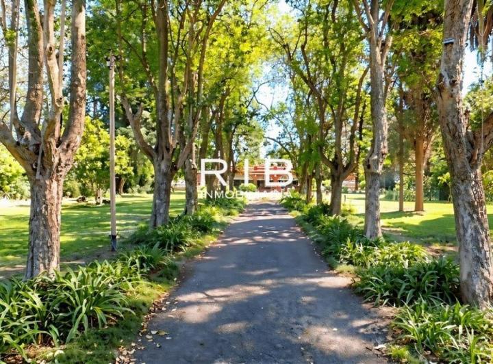 Terreno · 3336m²