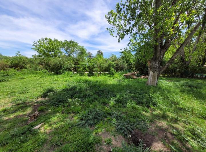 Terreno · 288m²