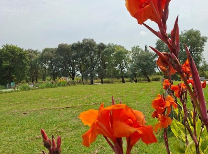 Terreno · 1000m²